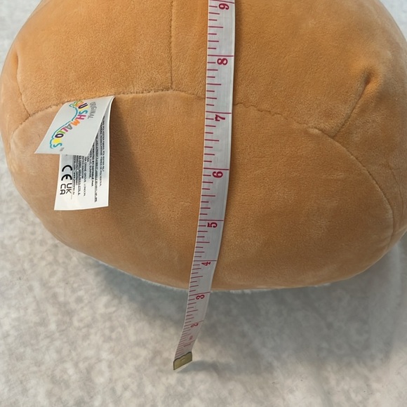 Garret the Guinea Pig Squishmallow - Picture 10 of 10